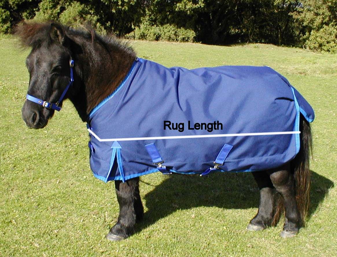Measurements Rug