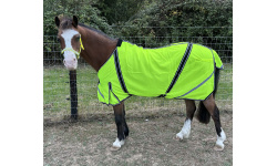 hi_viz_sheet2rs_2026822728