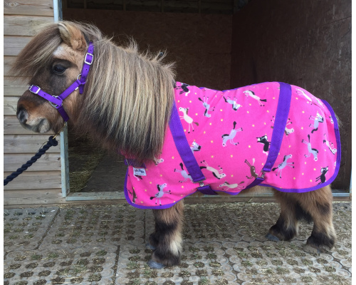 dr_pink_ponies_cr