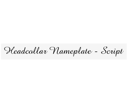 nameplate_font_script_849250404